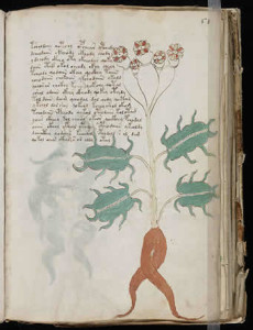 Voynich